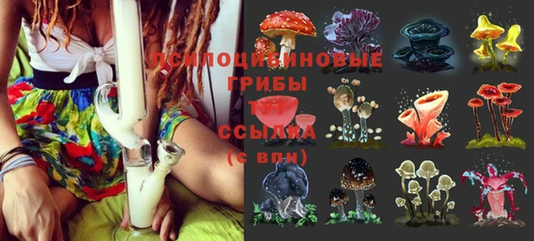 скорость Краснослободск