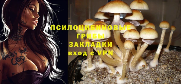 мескалин Красноперекопск